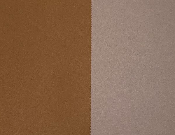 イエベとブルベ、ベージュ・ブラウンの選び方とコーデ術：札幌のパーソナルカラー診断・グロウコーデ仲川すみれ