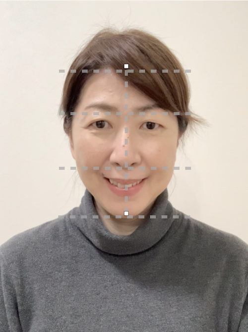 美顔バランス診断の測定例